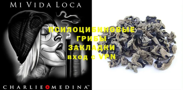 мдпв Ладушкин