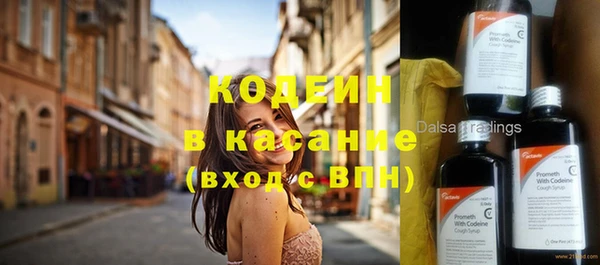 мдпв Ладушкин