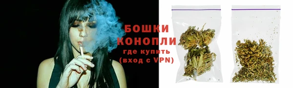 мдпв Ладушкин