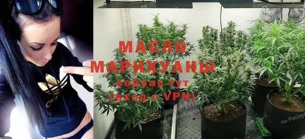 мдпв Ладушкин