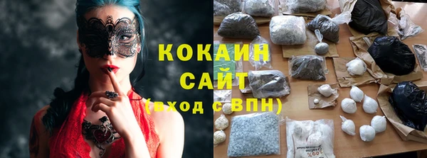 мдпв Ладушкин
