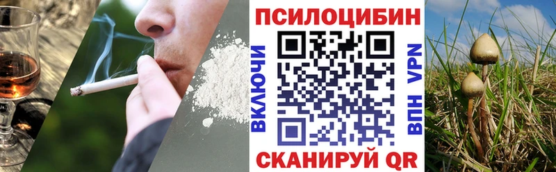 Галлюциногенные грибы прущие грибы  Купить  Пошехонье 