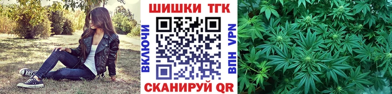 Купить закладки  Пошехонье  Бошки марихуана планчик 